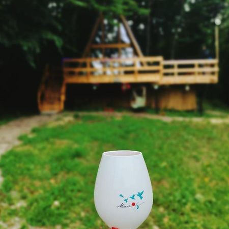 Cabanaaframe Intreaga Proprietate Curtea de Argeş エクステリア 写真
