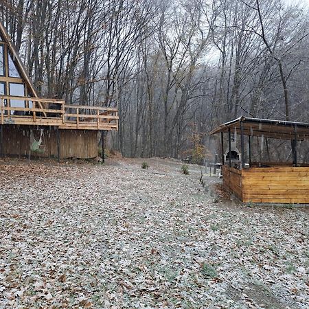 Cabanaaframe Intreaga Proprietate Curtea de Argeş エクステリア 写真