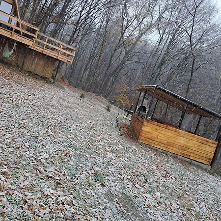 Cabanaaframe Intreaga Proprietate Curtea de Argeş エクステリア 写真
