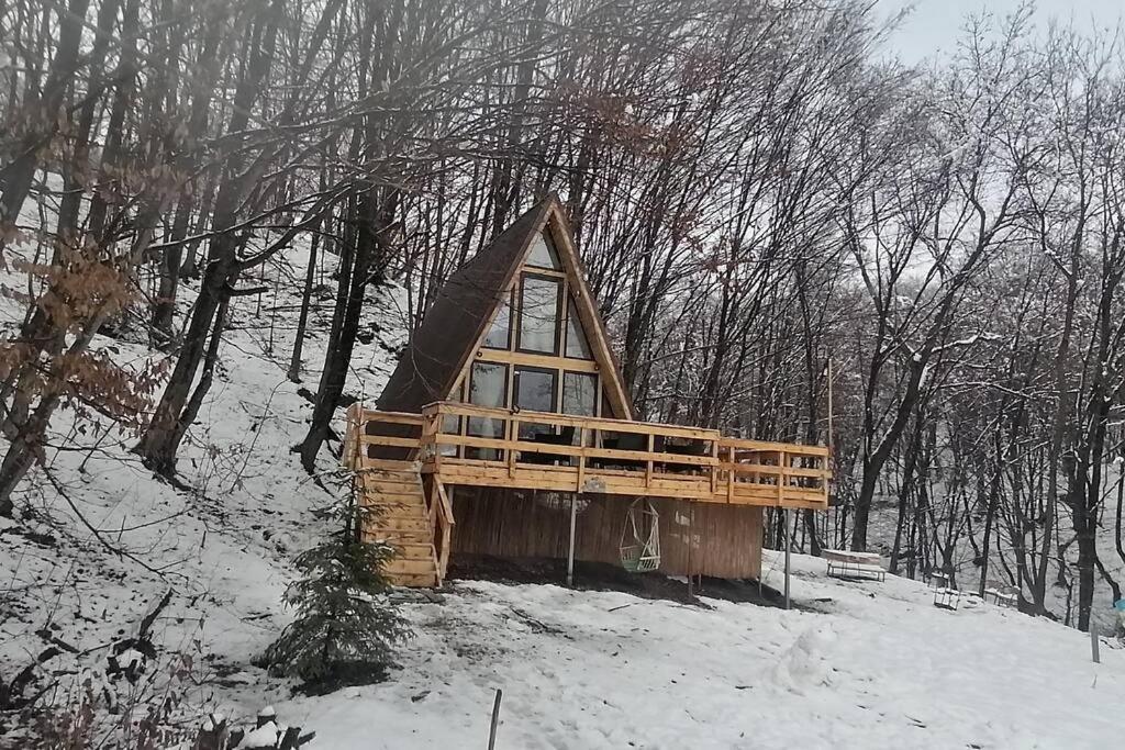 Cabanaaframe Intreaga Proprietate Curtea de Argeş エクステリア 写真