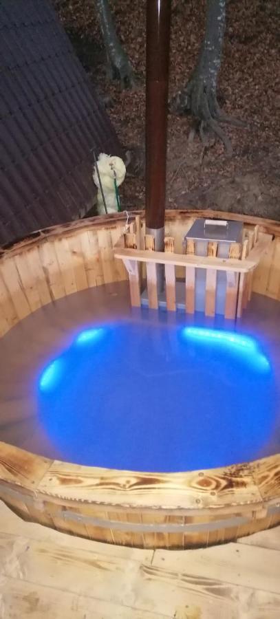 Cabanaaframe Intreaga Proprietate Curtea de Argeş エクステリア 写真