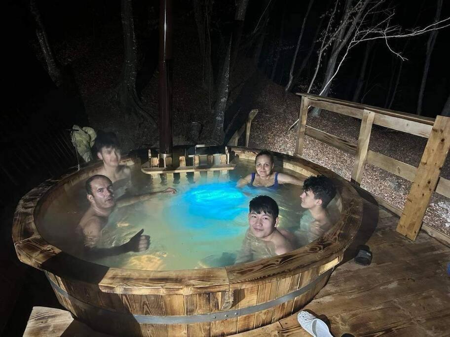 Cabanaaframe Intreaga Proprietate Curtea de Argeş エクステリア 写真