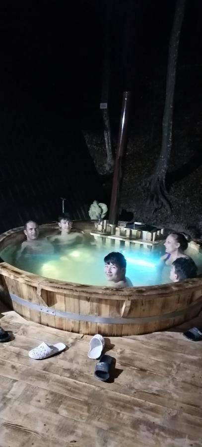 Cabanaaframe Intreaga Proprietate Curtea de Argeş エクステリア 写真