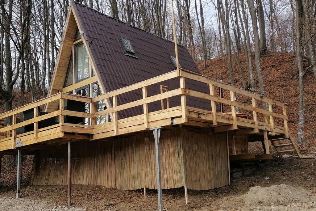 Cabanaaframe Intreaga Proprietate Curtea de Argeş エクステリア 写真