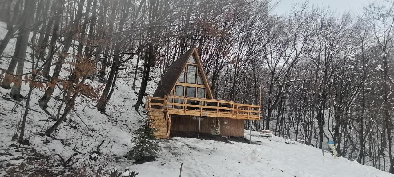 Cabanaaframe Intreaga Proprietate Curtea de Argeş エクステリア 写真