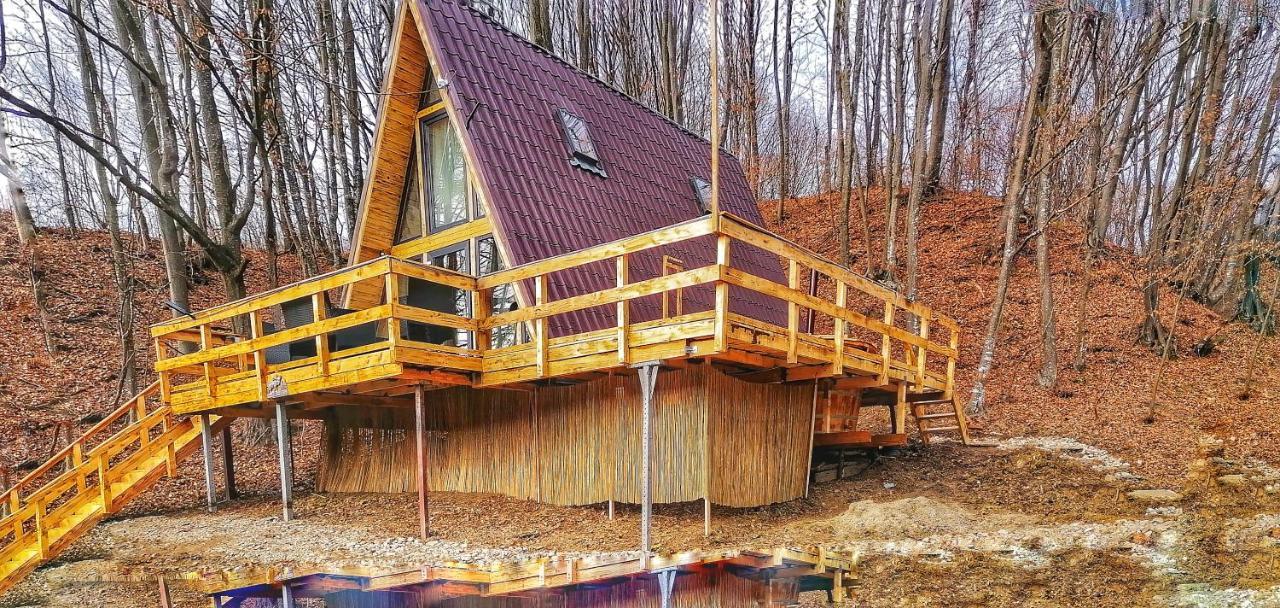 Cabanaaframe Intreaga Proprietate Curtea de Argeş エクステリア 写真