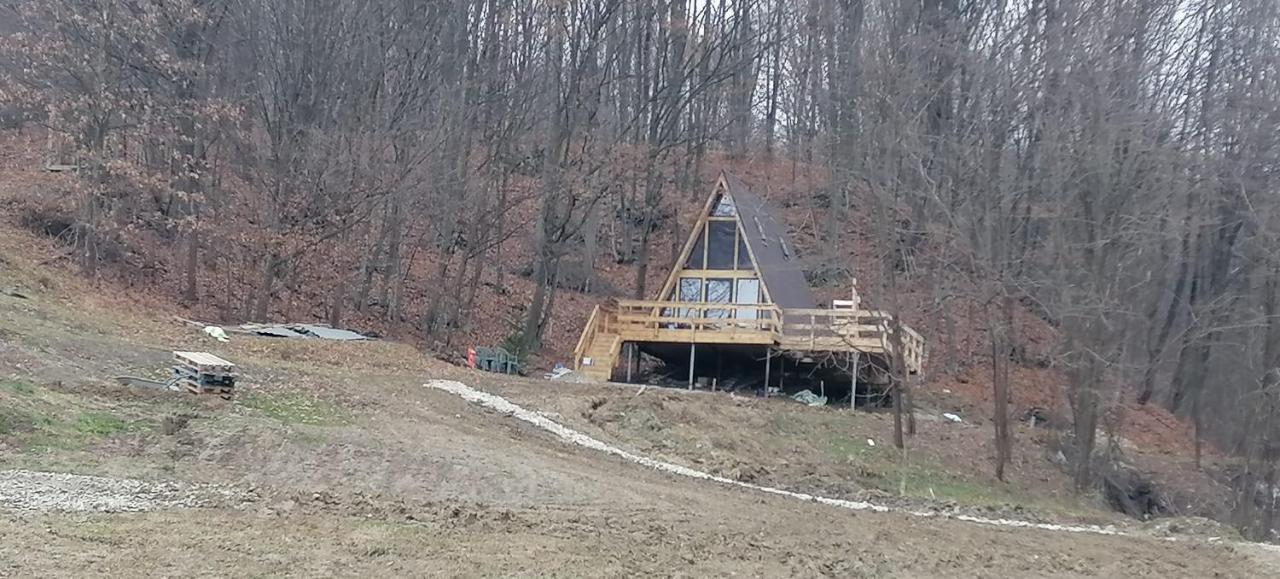 Cabanaaframe Intreaga Proprietate Curtea de Argeş エクステリア 写真
