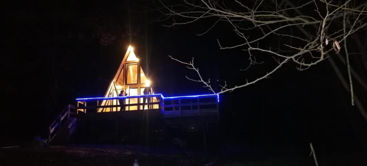 Cabanaaframe Intreaga Proprietate Curtea de Argeş エクステリア 写真