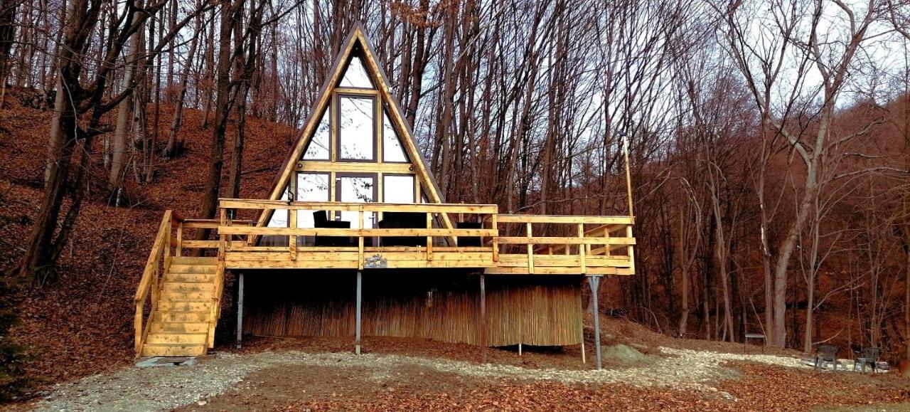 Cabanaaframe Intreaga Proprietate Curtea de Argeş エクステリア 写真