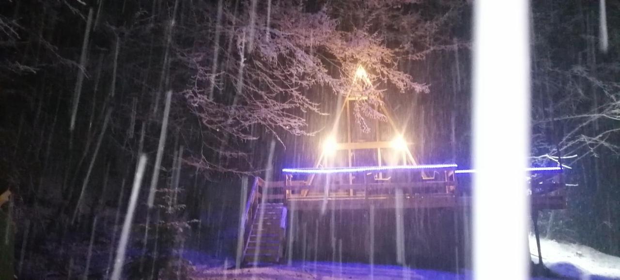 Cabanaaframe Intreaga Proprietate Curtea de Argeş エクステリア 写真