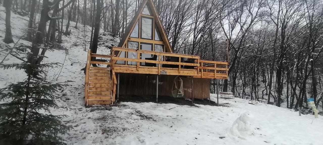 Cabanaaframe Intreaga Proprietate Curtea de Argeş エクステリア 写真