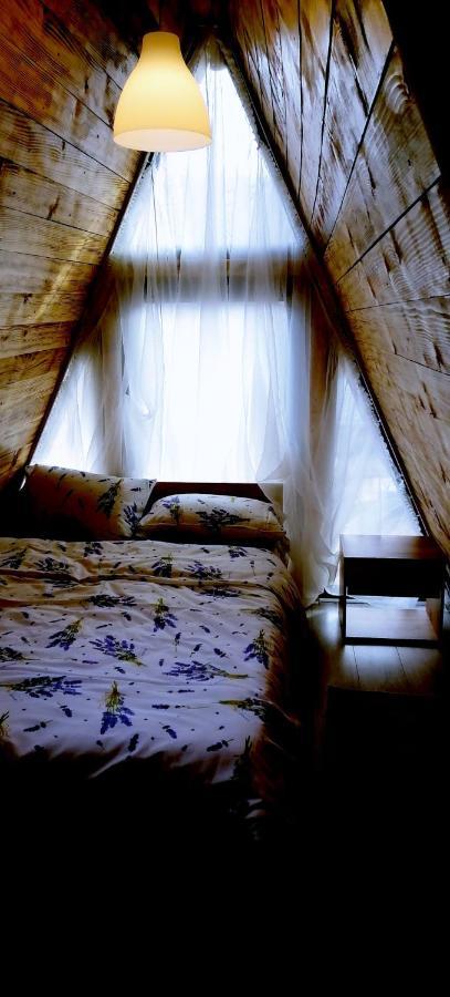 Cabanaaframe Intreaga Proprietate Curtea de Argeş エクステリア 写真