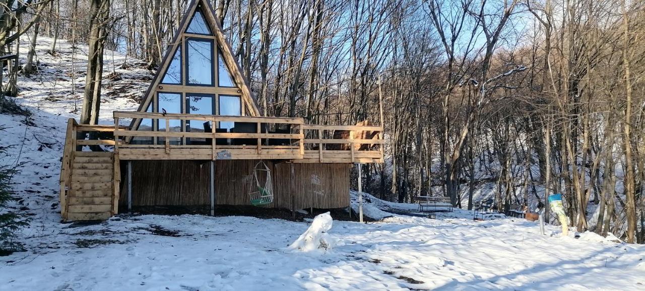 Cabanaaframe Intreaga Proprietate Curtea de Argeş エクステリア 写真