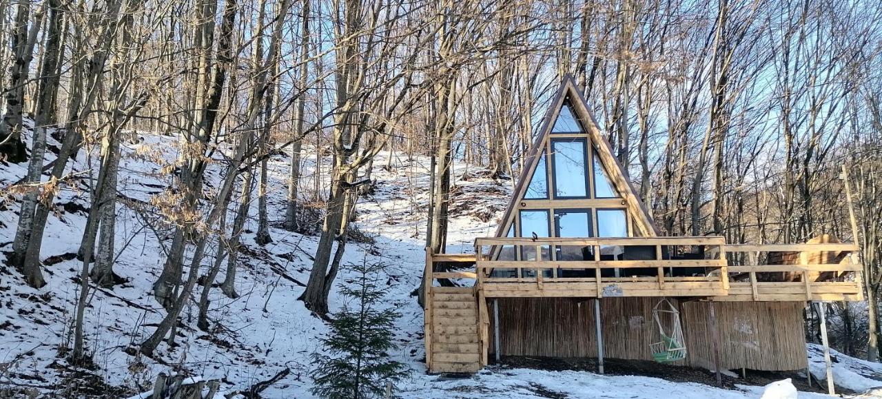 Cabanaaframe Intreaga Proprietate Curtea de Argeş エクステリア 写真