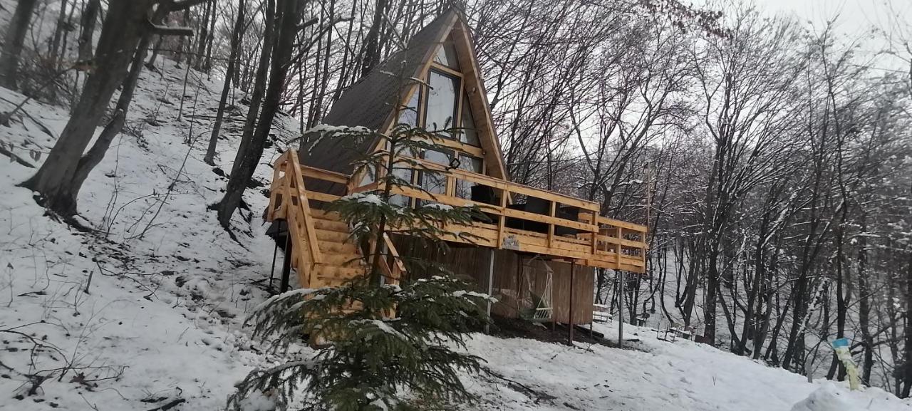 Cabanaaframe Intreaga Proprietate Curtea de Argeş エクステリア 写真