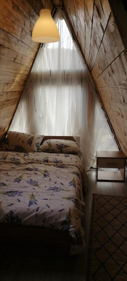 Cabanaaframe Intreaga Proprietate Curtea de Argeş エクステリア 写真