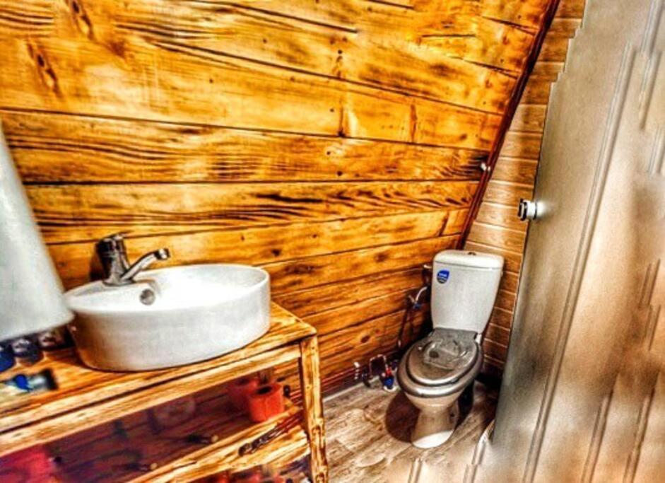 Cabanaaframe Intreaga Proprietate Curtea de Argeş エクステリア 写真