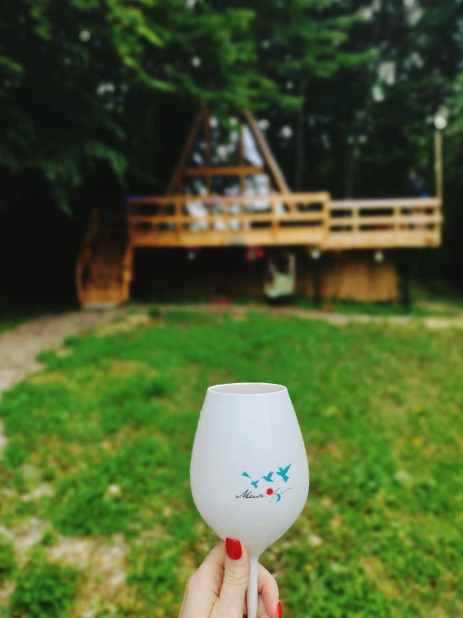 Cabanaaframe Intreaga Proprietate Curtea de Argeş エクステリア 写真