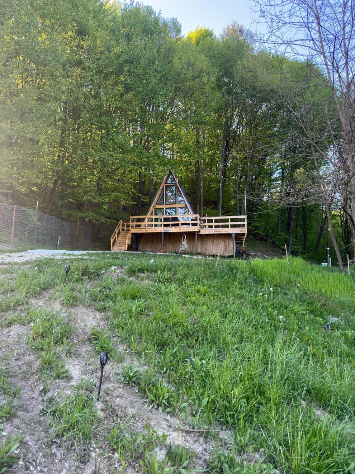 Cabanaaframe Intreaga Proprietate Curtea de Argeş エクステリア 写真
