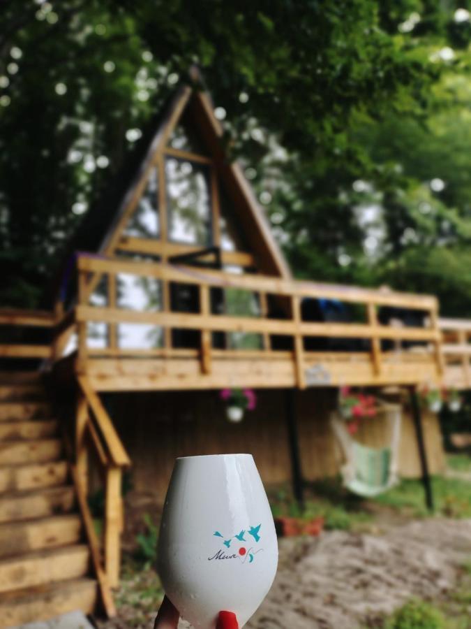 Cabanaaframe Intreaga Proprietate Curtea de Argeş エクステリア 写真
