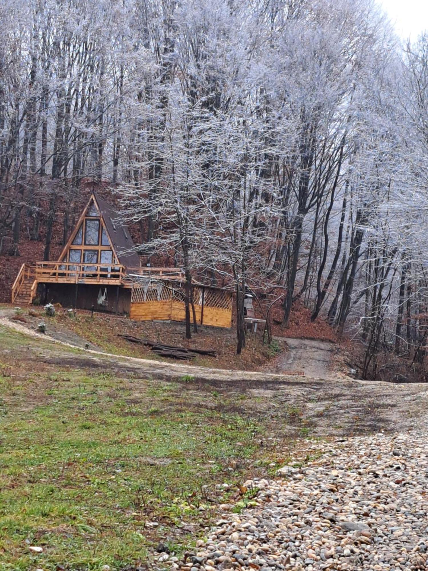 Cabanaaframe Intreaga Proprietate Curtea de Argeş エクステリア 写真